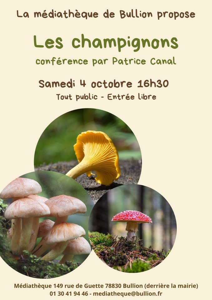 Conférence sur les champignons Image 1